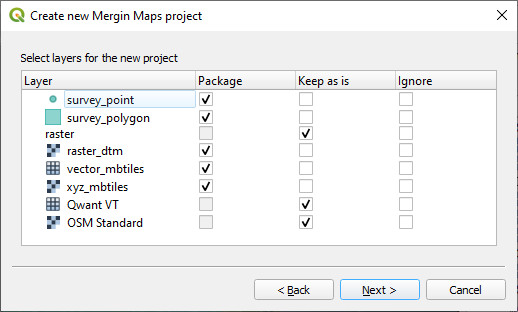 Package current project options