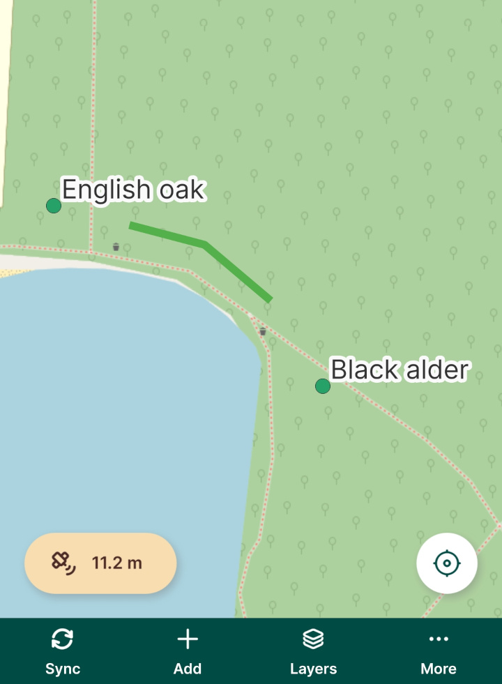 Camadas com etiquetas na aplicação móvel « Mergin Maps »