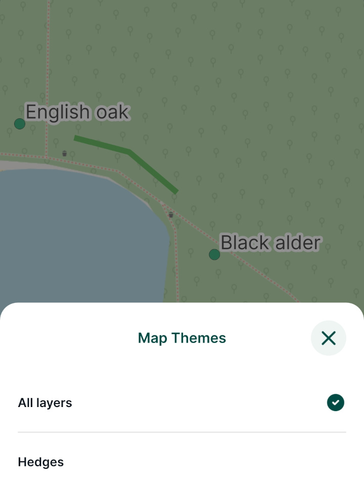 Alterar os temas dos mapas na aplicação móvel « Mergin Maps »