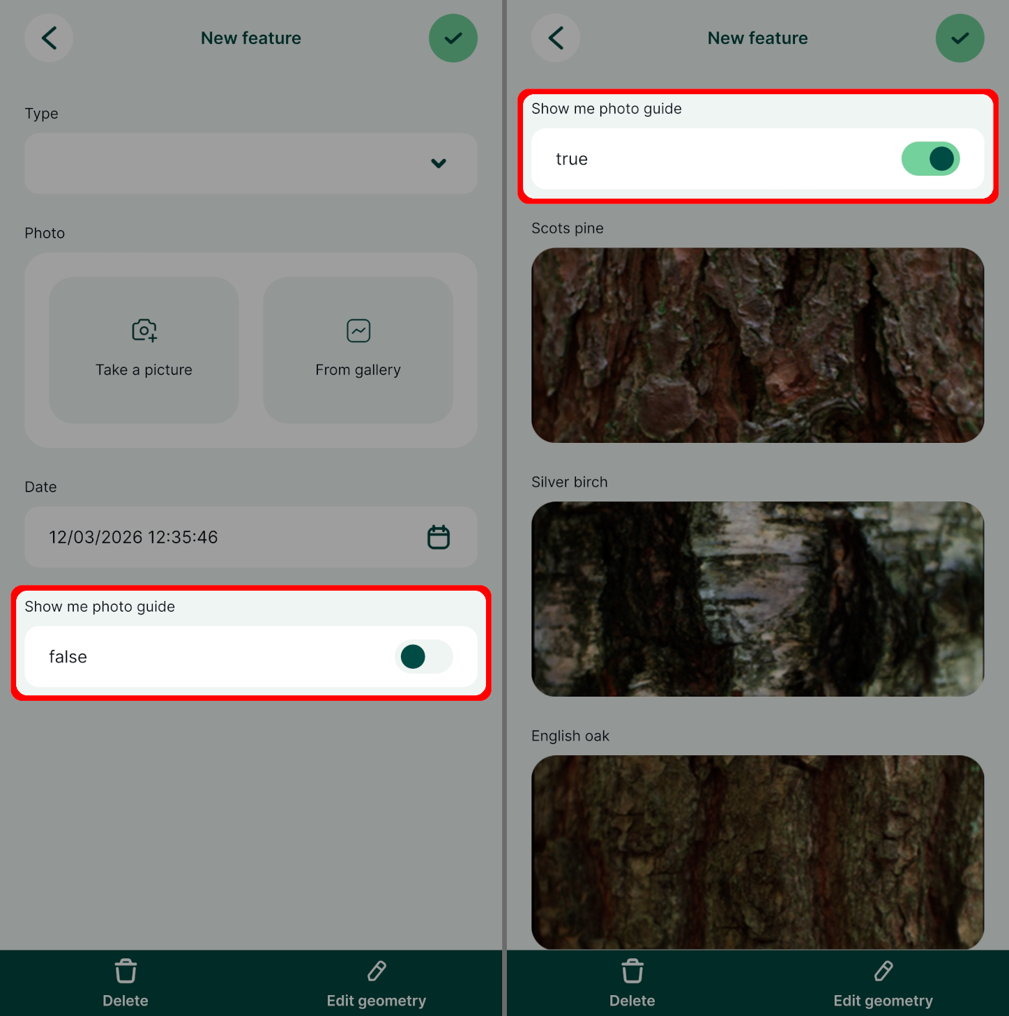 Mergin Maps Guia de imagens para formulários em aplicações móveis