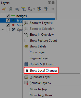 QGIS camada mostrar alterações locais