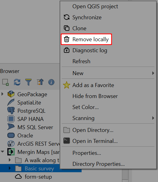 QGIS Remover o projeto « Mergin Maps » localmente em QGIS