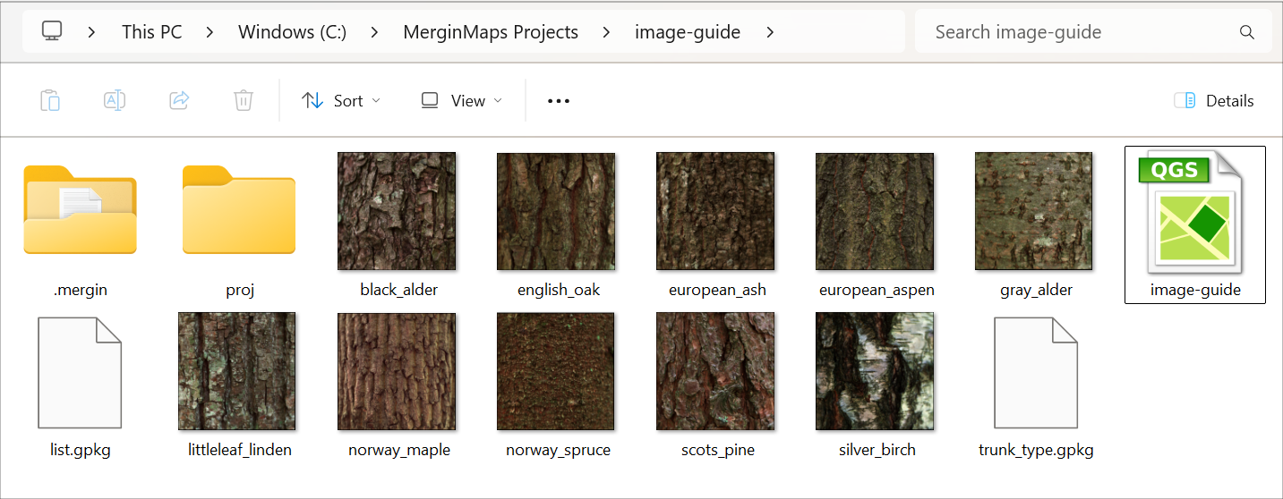 Mergin Maps pasta do projeto