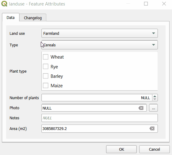 QGIS formulário de detalhe
